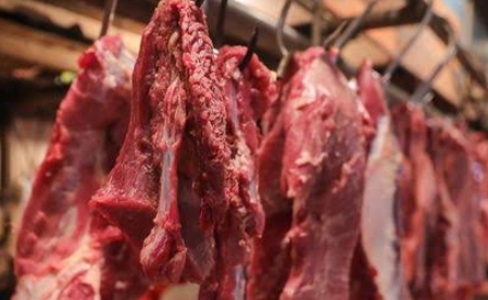 Daging sapi