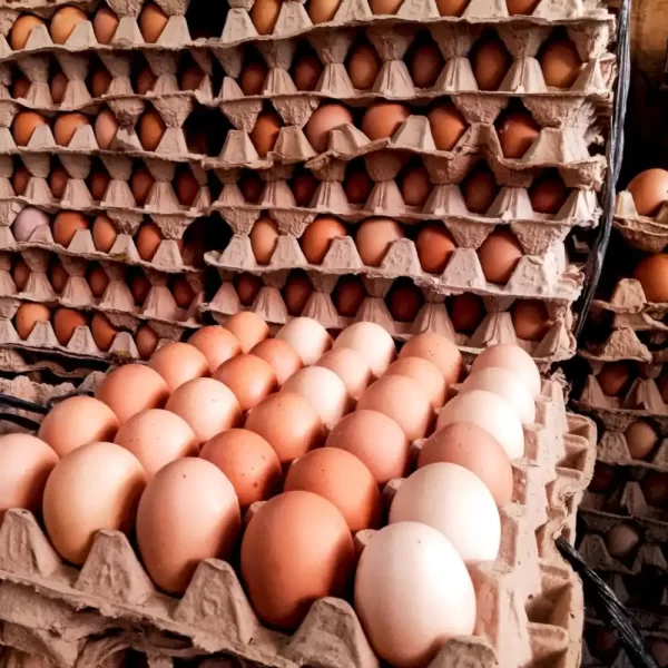 Telur Ayam Ras 1Kg