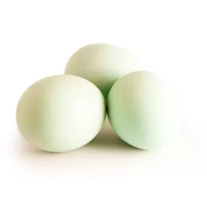 TELUR BEBEK ASIN MATANG 3PCS
